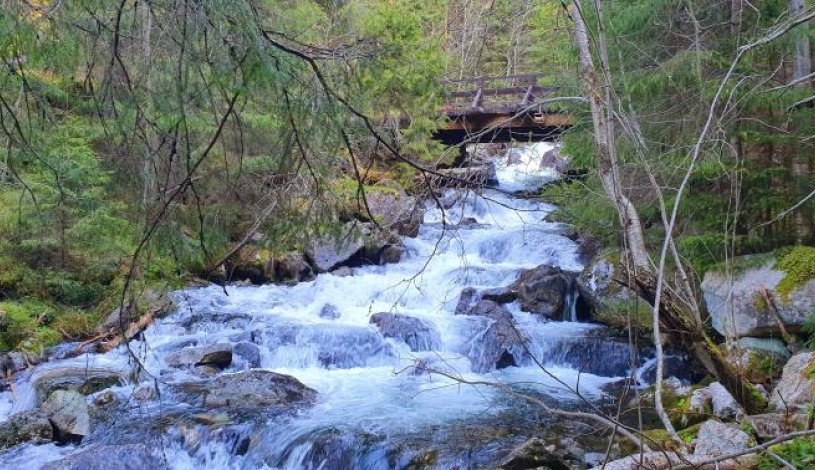 Hotel CROCUS **** Vysoké Tatry